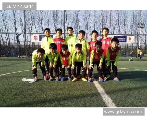 小学足球明星卡牌收藏热潮引发孩子们的运动热情与团队精神