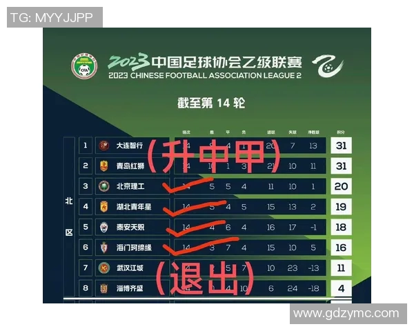 中国足球联赛级别解析与发展现状探讨及未来展望