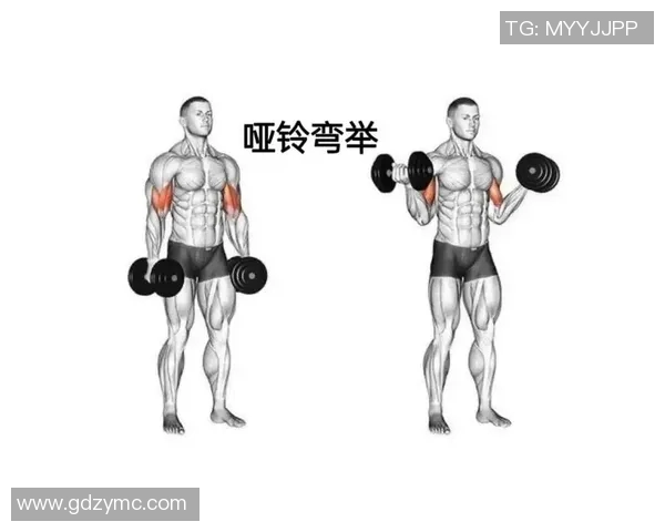提升力量与健康的哑铃训练APP助你塑造完美身材与增强体能的最佳选择