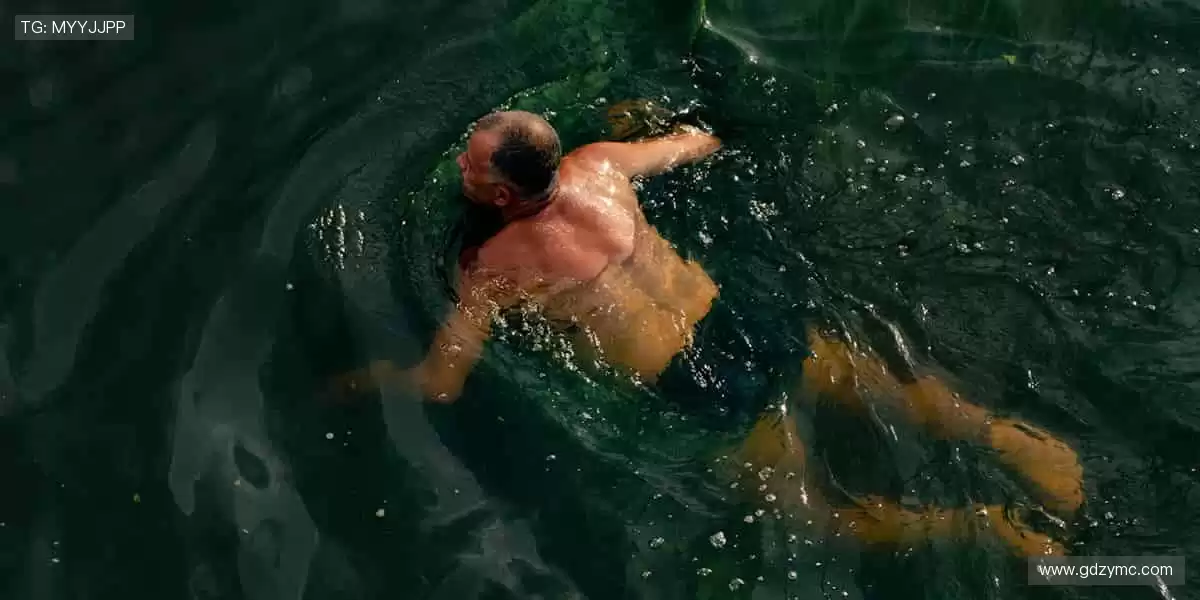 🎯 精准直播,互动不停!💬